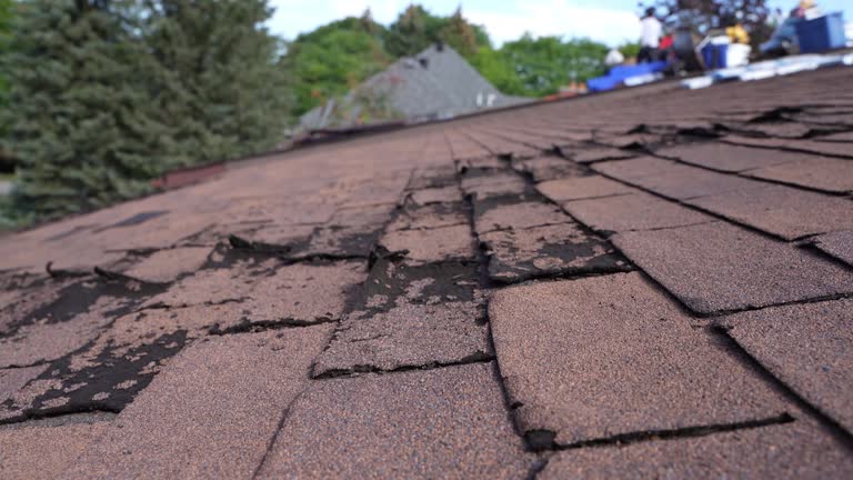 Best Roof Moss and Algae Removal  in South Taft, CA