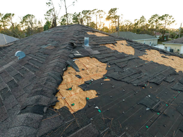 Best Gutter Installation and Repair  in South Taft, CA