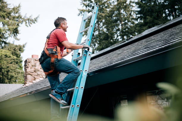Best Roof Ventilation Installation  in South Taft, CA