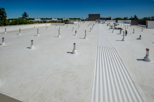 Best Rubber Roofing (EPDM, TPO)  in South Taft, CA